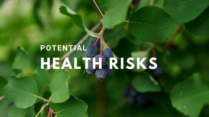 Potential Health Risks